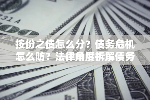 武汉按份之债怎么分？债务危机怎么防？法律角度拆解债务分配与风险自保指南