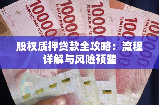 武汉股权质押贷款全攻略：流程详解与风险预警