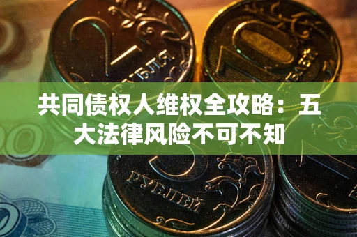 武汉共同债权人维权全攻略：五大法律风险不可不知