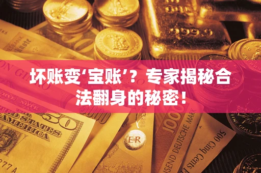 武汉坏账变‘宝账’？专家揭秘合法翻身的秘密！