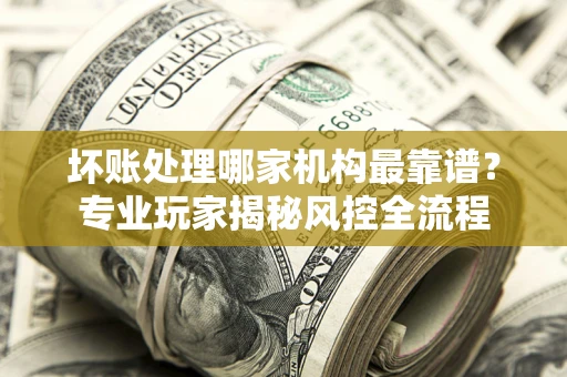 武汉坏账处理哪家机构最靠谱？专业玩家揭秘风控全流程