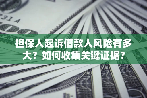 武汉担保人起诉借款人风险有多大？如何收集关键证据？