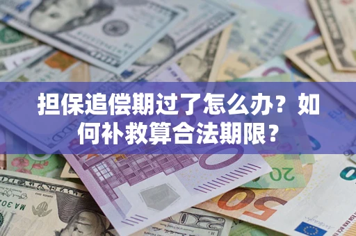 武汉担保追偿期过了怎么办？如何补救算合法期限？