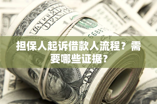武汉担保人起诉借款人流程？需要哪些证据？
