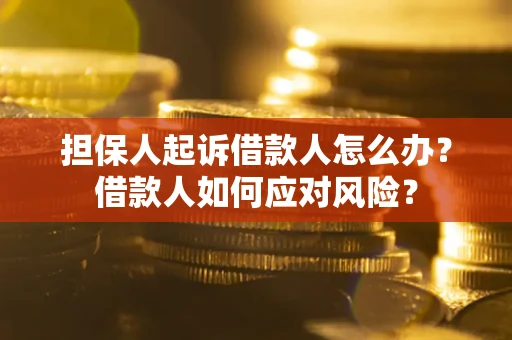 武汉担保人起诉借款人怎么办？借款人如何应对风险？