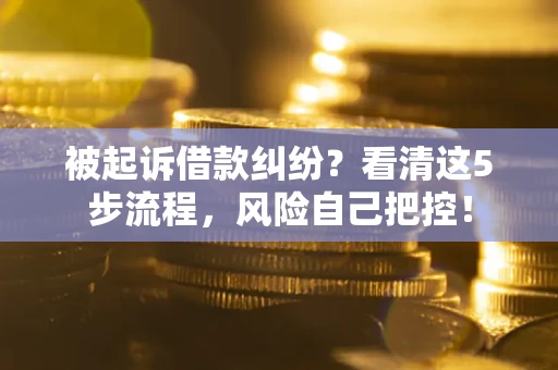 武汉被起诉借款纠纷？看清这5步流程，风险自己把控！
