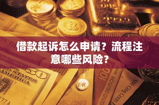 武汉借款起诉怎么申请？流程注意哪些风险？